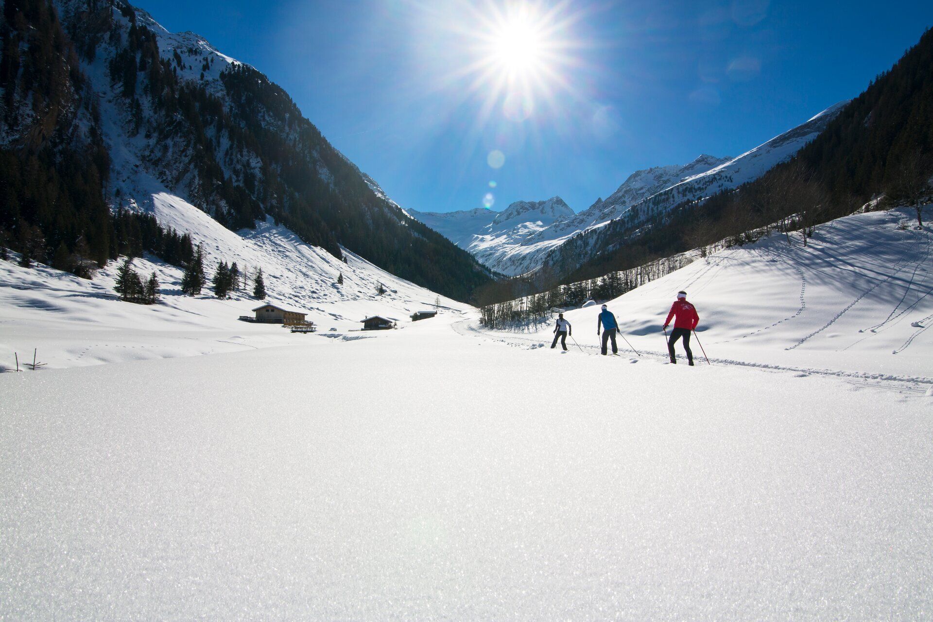 Alpenhof Hotel Garni Suprême Zell am Ziller Cross country skiing Winter